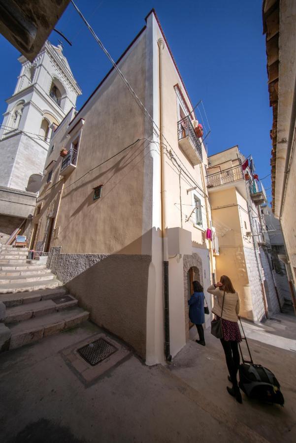 La Ferula Magica - Alloggio Tipico Apartment Minervino Murge Exterior photo